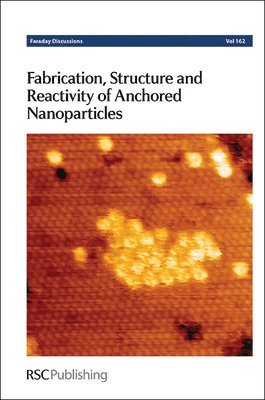 bokomslag Fabrication, Structure and Reactivity of Anchored Nanoparticles