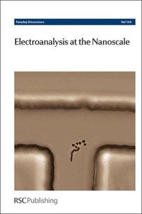 bokomslag Electroanalysis at the Nanoscale