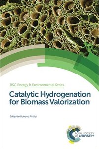 bokomslag Catalytic Hydrogenation for Biomass Valorization