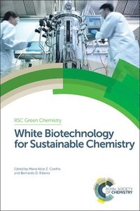 bokomslag White Biotechnology for Sustainable Chemistry