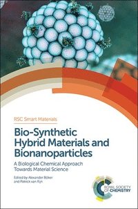 bokomslag Bio-Synthetic Hybrid Materials and Bionanoparticles