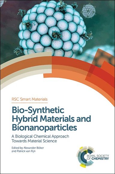 Alexander Böker, Patrick van Rijn - Bio-Synthetic Hybrid Materials and Bionanoparticles, Inbunden