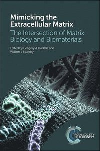 bokomslag Mimicking the Extracellular Matrix