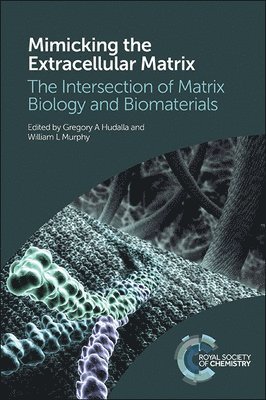 bokomslag Mimicking the Extracellular Matrix