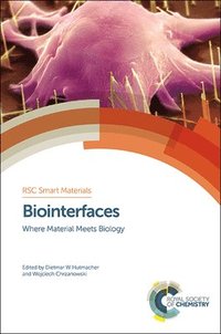 bokomslag Biointerfaces