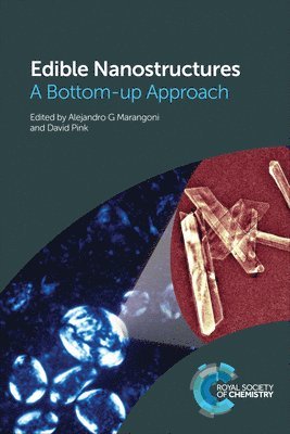 bokomslag Edible Nanostructures