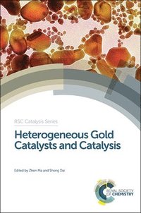 bokomslag Heterogeneous Gold Catalysts and Catalysis