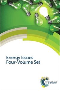 bokomslag Energy Issues