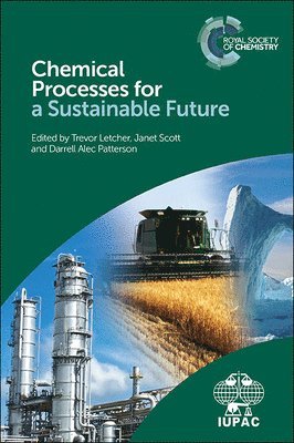 bokomslag Chemical Processes for a Sustainable Future