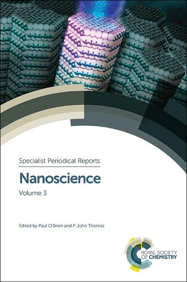 Paul O'Brien, P John Thomas - Nanoscience, Inbunden