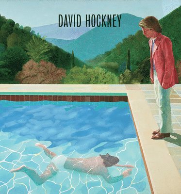 Chris Stephens, Dr Andrew Wilson, Andrew Wilson - David Hockney, Häftad