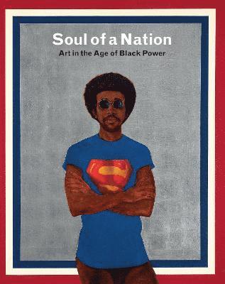 bokomslag Soul of a Nation