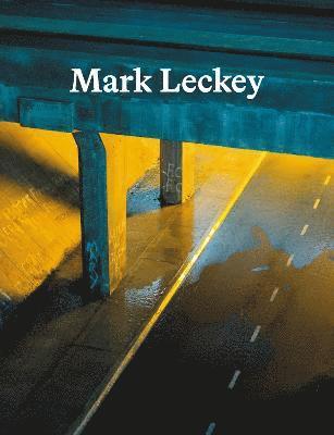 bokomslag Mark Leckey