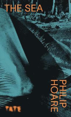 Philip Hoare - Look Again: The Sea, Häftad