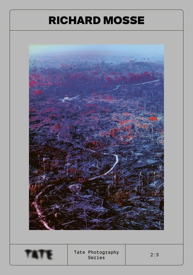 Yasufumi Nakamori - Tate Photography: Richard Mosse, Häftad