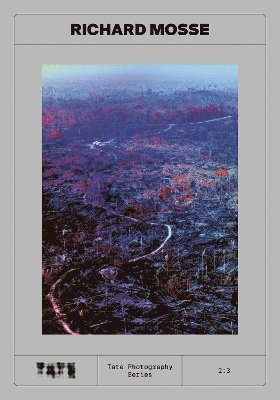 Yasufumi Nakamori - Tate Photography: Richard Mosse, Häftad