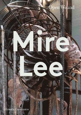 Mire Lee: Open Wound (Hyundai Commission) 1