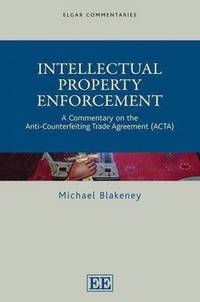 bokomslag Intellectual Property Enforcement