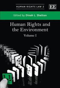 bokomslag Human Rights and the Environment