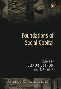 bokomslag Foundations of Social Capital
