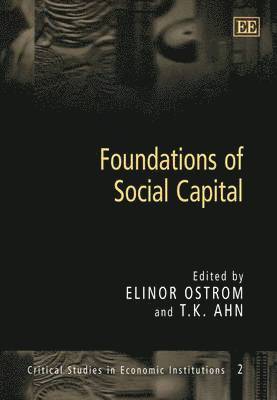 Foundations of Social Capital 1