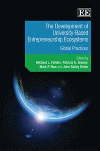 bokomslag The Development of University-Based Entrepreneurship Ecosystems