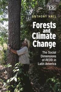 bokomslag Forests and Climate Change