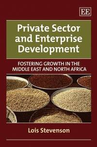 bokomslag Private Sector and Enterprise Development