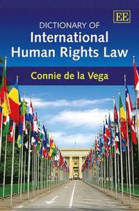 bokomslag Dictionary of International Human Rights Law