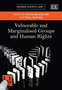 bokomslag Vulnerable and Marginalised Groups and Human Rights