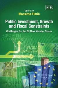 bokomslag Public Investment, Growth and Fiscal Constraints