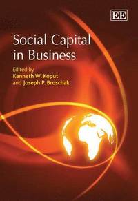 bokomslag Social Capital in Business
