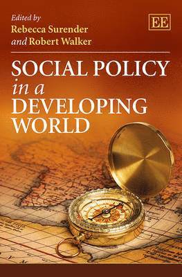 Social Policy in a Developing World
