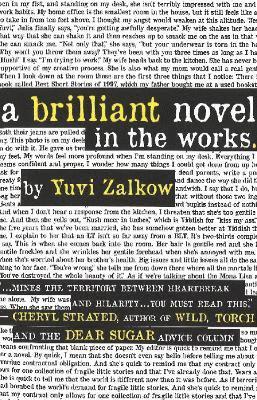 Yuvi Zalkow - Brilliant Novel in the Works, Häftad