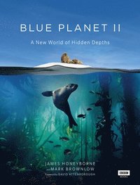 bokomslag Blue Planet II