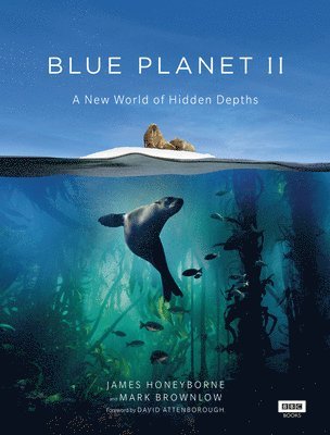 Blue Planet II 1