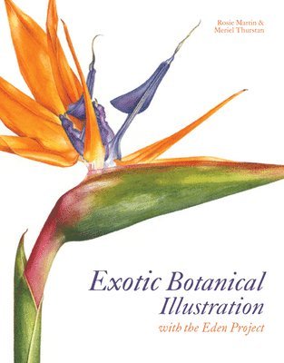 bokomslag Exotic Botanical Illustration