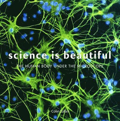 Science is Beautiful: The Human Body 1