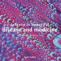 bokomslag Science is beautiful: disease and medicine - under the microscope