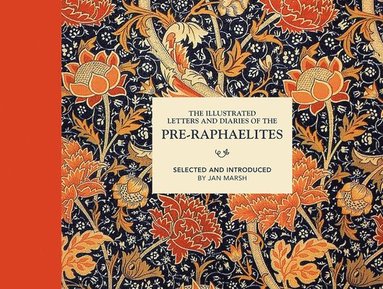 bokomslag Illustrated Letters and Diaries of the Pre-Raphaelites