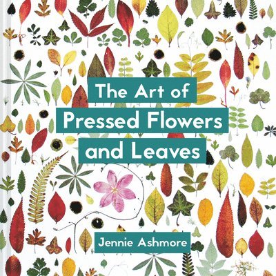 The Art of Pressed Flowers and Leaves 1