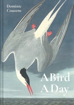 Dominic Couzens - Bird A Day, Inbunden
