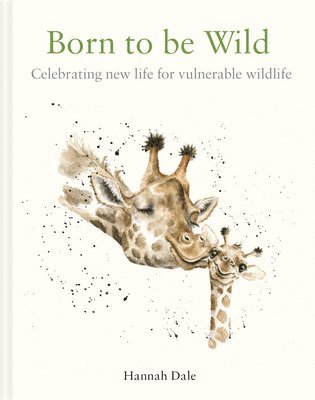 Born to be Wild 1