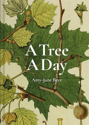 Amy-Jane Beer - Tree A Day, Inbunden