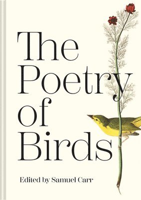 The Poetry of Birds 1