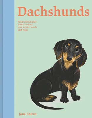 bokomslag Dachshunds