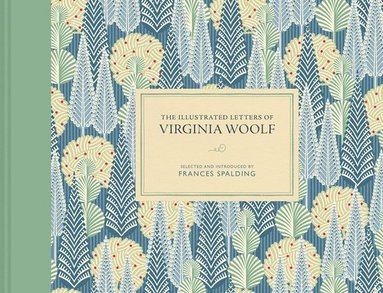 bokomslag Illustrated Letters of Virginia Woolf