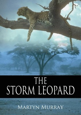 bokomslag Storm Leopard