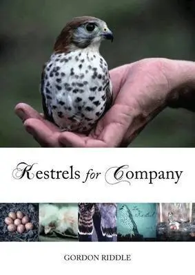 Gordon Riddle - Kestrels for Company, Häftad. Tillgänglighet: Lägg i varukorg