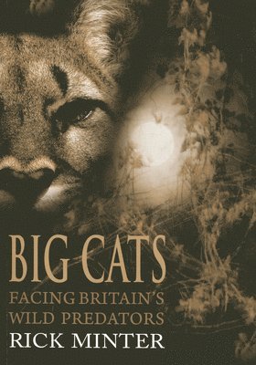 Rick Minter - Big Cats, Häftad